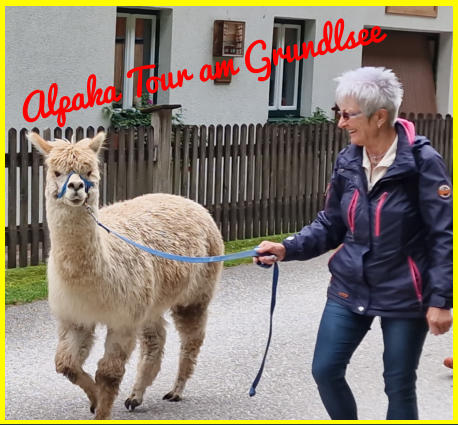 Alpaka Tour am Grundlsee